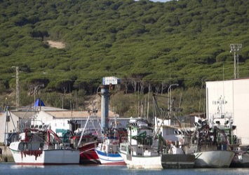 Ευρωκοινοβούλιο: 6,5 δισ. οικονομική βοήθεια σε αλιείς
