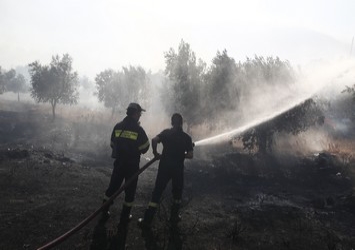 Κραυγές και ψίθυροι (πάλι) από το ΔΝΤ