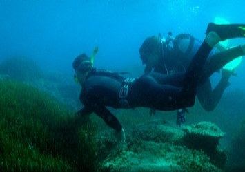ΕΕ: 217 ΟΡΓΑΝΩΣΕΙΣ ΖΗΤΟΥΝ ΤΟ ΤΕΛΟΣ ΤΗΣ ΥΠΕΡΑΛΙΕΥΣΗΣ